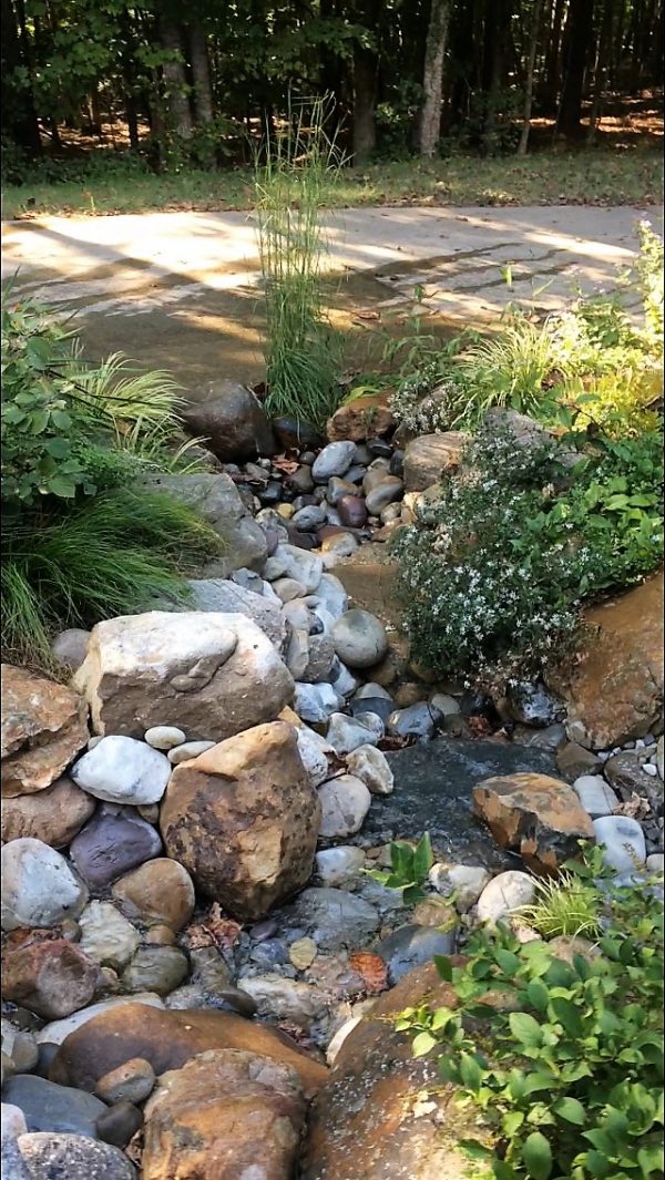 Professional Services - Biology Garden Design & Lanscaping